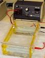 Gel <b>electrophoresis</b> apparatus.