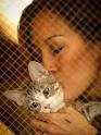 Carrie Ann Inaba Starts Web Show for Shelter Cats| Animal Charities, Cats, ... - carrie-ann-inaba-2-300