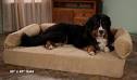 Pillow Top Dog Bed | Classic Dog Beds at DrsFosterSmith.