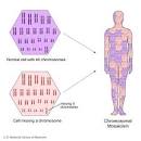 Chromosomal <b>mosaicism</b>