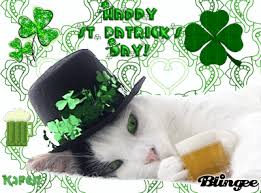 St. Patrick\u0026#39;s Cat Drinking Beer Picture #85545639 | Blingee.com - 386056341_1008938