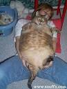 Biggest PUSSY you ever saw!