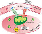 in a <b>metabolic disorder</b>