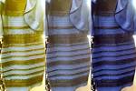 TheDress: Is This Dress Blue and Black, or White and Gold? - In.