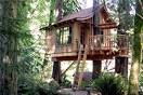 Oregon's Out'n'About Treehouse 'Treesort' has the World's Highest ...