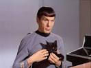 Leonard Nimoy, Mr. Spock of Star Trek: The Original Series, dies.