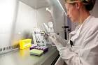 for <b>cytogenetic analysis</b>.