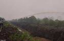 INDONESIA SAYS HAZE FIRES GREATLY REDUCED