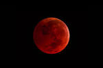 Third Blood Moon coming for Passover, April 4th