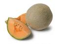Melon Acres Announced the Recall of Cantaloupes Due to Potential ...