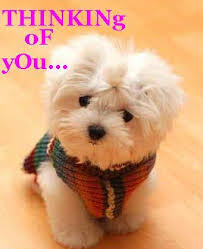 Thinking About You Quotes | Glamquotes. Thinking About You Quotes | Glamquotes.