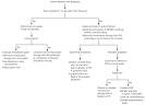 Treatment of <b>Peptic Ulcer</b>