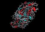 <b>Alkaline phosphatase</b> catalyzes
