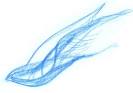 Simple Thoughts on Christian Life: Gifts of the Holy Spirit