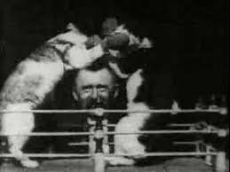 1894 - The Boxing Cats  Images?q=tbn:ANd9GcQuVlN2Bl7cBSXqCiuLjbyyHF_DCNKzXLmjE5i2mfZgZwmmzYqQ
