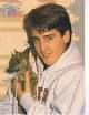 and nondescript Jonathan Knight, when I was 9. It was the the late 80s/early ... - small_jonathan-knight