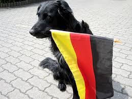 Sandra Ropertz konnte sich nicht lange an ihrer Deutschland-Fahne erfreuen. Schnell war Hund Oskar zur Stelle, um Jogis Jungs anzufeuern.