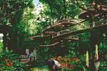 Mandai to feature new immersive zoo-type experience | TODAYonline