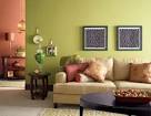 Light Warm Color For Small Living Room:Green Livingroom #10 Warm ...