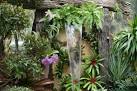 4 Tropical Home Garden Ideas You Can Learn | Annies Garden