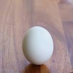 How to make Hard Boiled Eggs... | The Girl Who Ate Everything