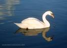 Travel photography : selection of reflections pictures