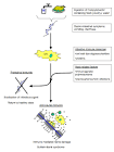 <b>Guillain</b>-<b>Barre Syndrome</b>