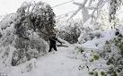 Snow storm 2011 in New York: 3 dead and 2m without power | Mail Online