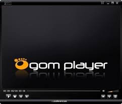GOM Player Images?q=tbn:ANd9GcR7BxE_KF8udhdy2r5fRr-ibKX_ovMZTtdiL49MFXesfoZm8u4o