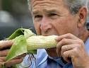 George Bush Still Popular In This One Town In Oklahoma - corn-bush