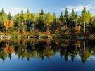 Angel's Secret Garden: 50 Most Stunning & Impressive Reflection ...