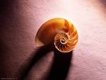 Sapere e <b>Conoscenza</b> – come