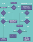 of <b>autoimmune thyroiditis</b>,