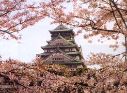 قلعة أوساكا Images?q=tbn:ANd9GcRAu6LGyLHjnhaATi3727XySJoQ8VJlHV-MJdY5QHir_Qo0i1c8Rg