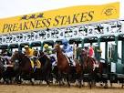 Preakness Stakes Party | Genesee County