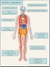 So, as a <b>diabetic</b>,