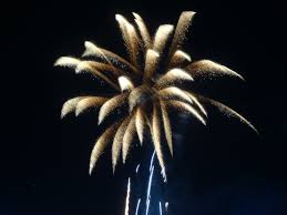 Weiße Palme - Bild \u0026amp; Foto von felix.mahler aus Feuerwerk ... - Weisse-Palme-a28769355