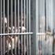 Investigación por descuartizamientos en cárceles se extenderá a ... - RCN Radio (blog)