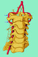 <b>Insufficienza vertebrobasilare</b>