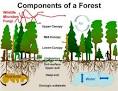 Forest Ecosystems - eXtension