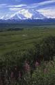 Escorted land tours of Alaska