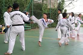Hasil gambar untuk pengertian taekwondo