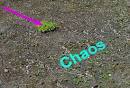 chaos_f