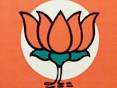 Have detailed plan to ensure safety, security of women: BJP - The.