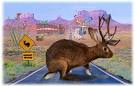 Northern Voice / Southern Jackalope - CogDogBlog