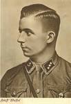 found on the web a picture of horst wessel and a 5 on his collar - 156254d1289771686-oppinion-sa-collar-tab-wl7176