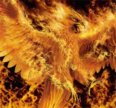 Birds of Fire (Pick 'n' Play) Be active! Images?q=tbn:ANd9GcRdj9YFwU-uj8IsaWpuqMpVPDHhRkR6enkEbw6ow1W2W9FCWlwdvA