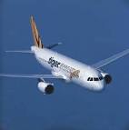 Tiger Airways Could Be Up Flying Sooner Than Expected | Around The ...