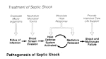treatment of <b>septic shock</b>.