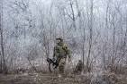 Ukraine Fighting Subsides After Cease-Fire - WSJ